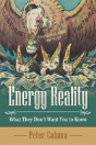 Energy Reality - Preview