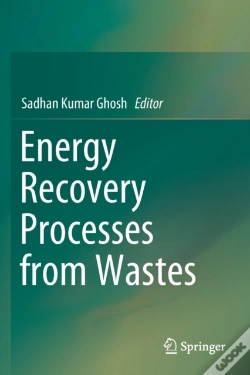 Capa do artigo Energy Recovery Processes From Wastes
