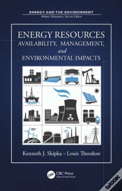 Capa do artigo Energy Resources