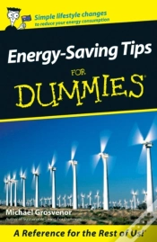 Capa do artigo Energy-Saving Tips For Dummies