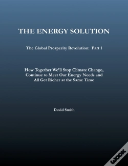 Capa do artigo Energy Solution