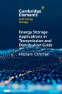 Energy Storage Applications In Transmission And Distribution Grids - Preview