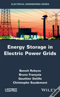 Capa do artigo Energy Storage In Electric Power Grids