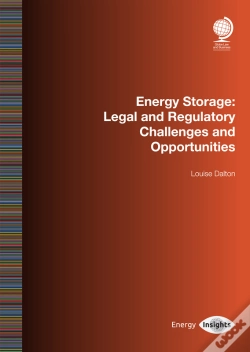 Capa do artigo Energy Storage