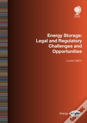 Capa do artigo Energy Storage
