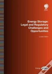 Capa do artigo Energy Storage