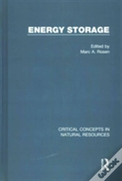 Capa do artigo Energy Storage