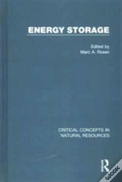 Capa do artigo Energy Storage