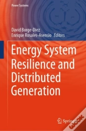 Capa do artigo Energy System Resilience And Distributed Generation