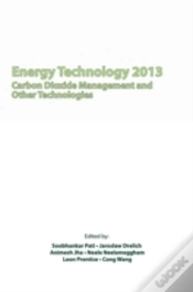Capa do artigo Energy Technology 2013