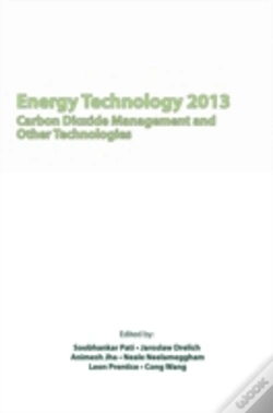 Capa do artigo Energy Technology 2013