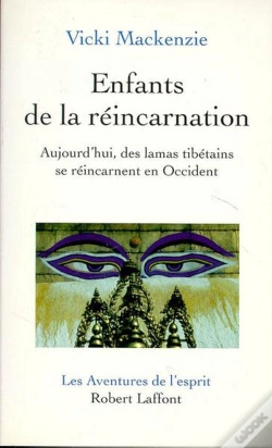 Capa do artigo Enfants De La Reincarnation