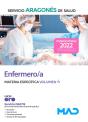 Enfermero/A Servicio Aragon Salud Materia Especifi - Preview