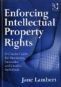Enforcing Intellectual Property Rights - Preview