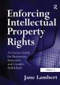 Enforcing Intellectual Property Rights - Preview