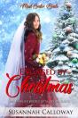 Engaged By Christmas - Preview