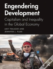 Capa do artigo Engendering Development