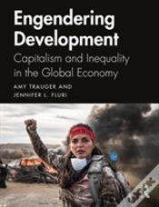 Capa do artigo Engendering Development
