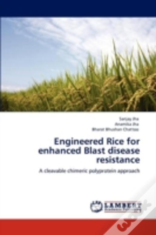 Engineered Rice For Enhanced Blast Disease Resistance