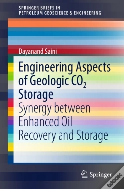 Capa do artigo Engineering Aspects Of Geologic Co2 Storage