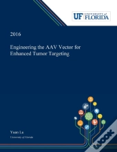 Engineering The Aav Vector For Enhanced Tumor Targeting