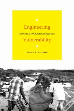 Capa do artigo Engineering Vulnerability