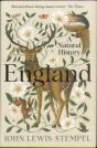 England - Preview