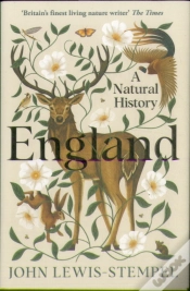 Capa do artigo England
