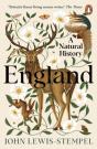 England - Preview