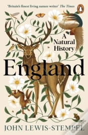 Capa do artigo England