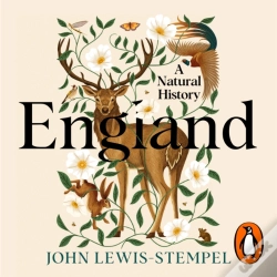 Capa do artigo England