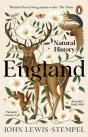 England - Preview