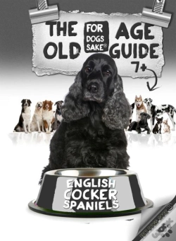Capa do artigo English Cocker Spaniel Old Age Care Guide 7+