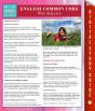 English Common Core 9th Grade (Speedy Study Guides) - Preview