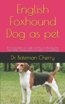 Capa do artigo English Foxhound Dog As Pet