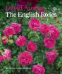 English Roses - Preview