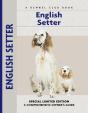English Setter - Preview
