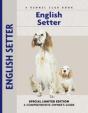 English Setter - Preview