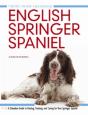 English Springer Spaniel - Preview