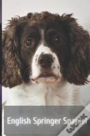 English Springer Spaniel