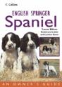 English Springer Spaniel - Preview