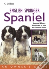 English Springer Spaniel