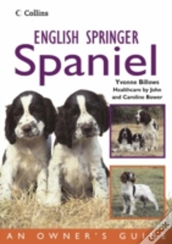 Capa do artigo English Springer Spaniel
