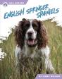 English Springer Spaniels - Preview