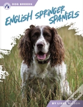 English Springer Spaniels