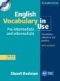 English Vocabulary In Use Pre-Intermediate And Intermediate With Answers And Cd-Rom - Preview