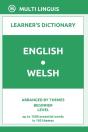 English-Welsh Learner'S Dictionary (Arranged By Themes, Beginner Level) - Preview