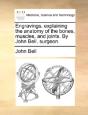 Engravings, Explaining The Anatomy Of Th - Preview