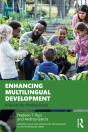 Enhancing Multilingual Development - Preview