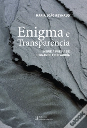 Capa do artigo Enigma e Transparência